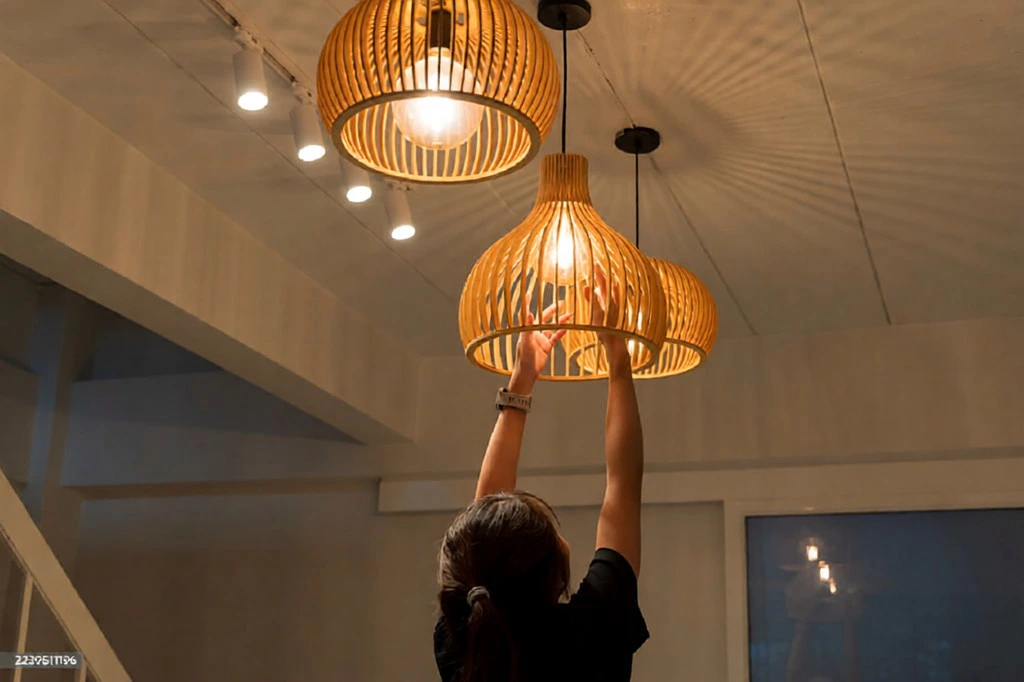 Pro outdoor lighting installation